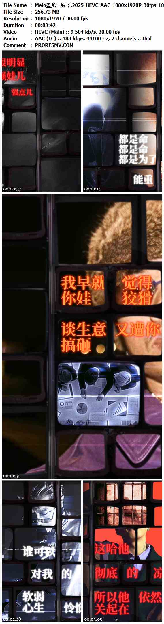 Melo墨龙 - 纬哥.2025-HEVC-AAC-1080x1920P-30fps-187kbs-256.73MB官方MV_高清MV